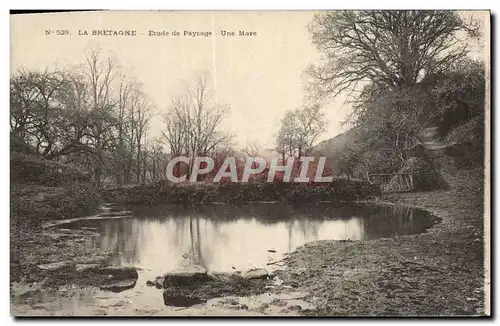 Cartes postales La Bretaggne Etude De Paysage Une Mare