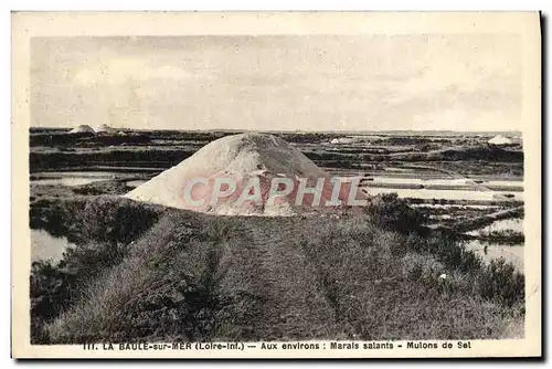 Cartes postales La Baule Sur Mer Aux Environs Marais salants Mulons de sel