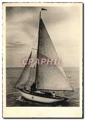 Cartes postales moderne Bateau Voilier