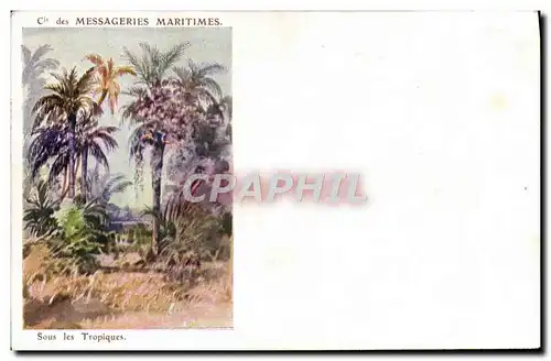 Cartes postales Cie des Messageries Martimes Sous les tropiques Palmiers