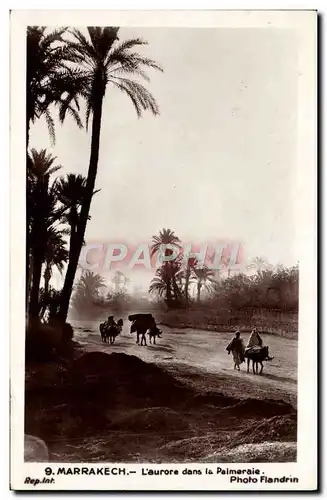 Cartes postales Marrakech L'Aurore Dans la Palmeraie
