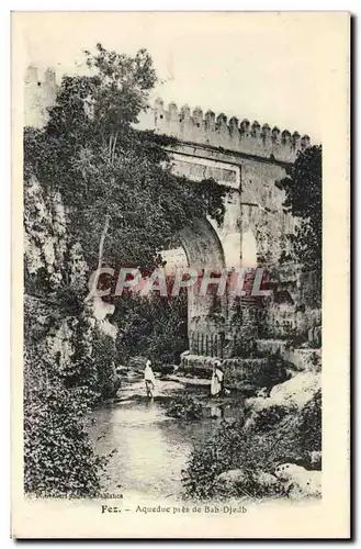 Cartes postales Fez Aqueduc Pres De Bab Djedb