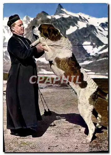 Cartes postales moderne Pere Du Grand Saint Bernard Son Chien