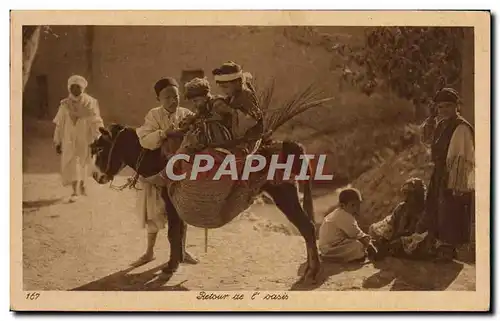 Cartes postales Retour De l&#39oasis Ane Enfants Algerie