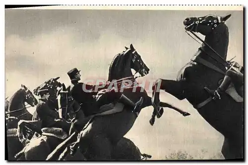 Cartes postales Les Ecuyers Du Cadre Noir Cheval Hippisme