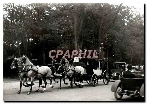 REPRO Paris 1900 Promenade Dans le Bois de Boulogne Cheval