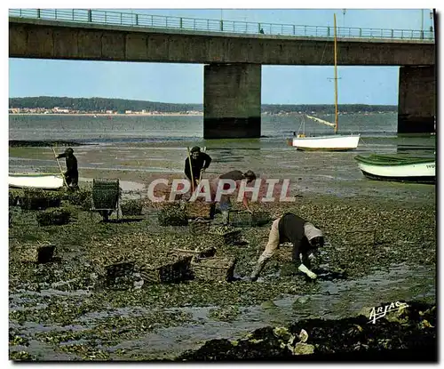 Ansichtskarte AK Le viaduc d&#39Oleron Ostreiculture Peche