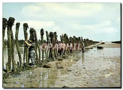 Ansichtskarte AK Les boucholeurs a Boyardville Ile d&#39Oleron Ostreiculture