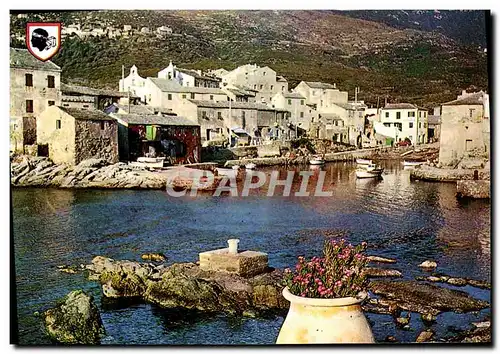 Cartes postales moderne Centuri Son Port de Pecheurs