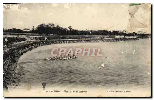 Cartes postales Quimiac Marais de la Roblire Oies