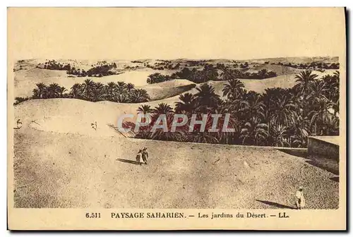 Ansichtskarte AK Paysage Saharien Les Jardins du Desert