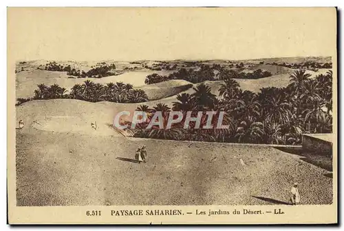 Ansichtskarte AK Paysage Saharien Les Jardins du Desert