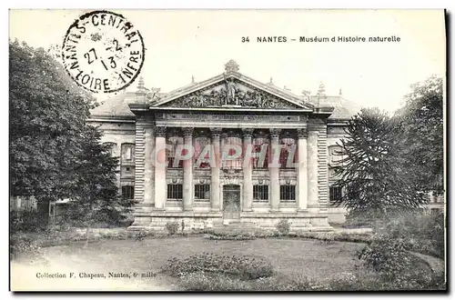 Cartes postales Nantes Museum d'Histoire Naturelle