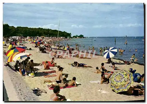 Cartes postales moderne Ile De Noirmoutier La Plage des Sableaux