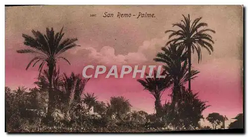 Cartes postales San Remo Palme