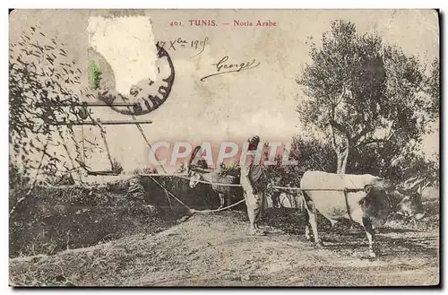 Cartes postales Tunis Noria Arabe Charrue Boeuf