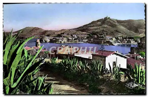 Cartes postales moderne Collioure Vue Panoramique