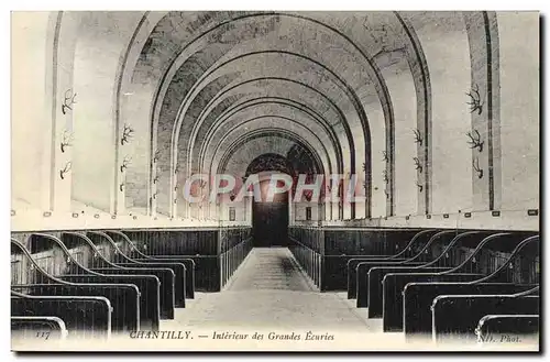 Cartes postales Chantilly Interieur Des Grandes Ecuries Cheval Hippisme