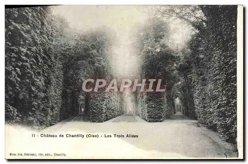 Ansichtskarte AK Chateau De Chantilly Les Trois Allees