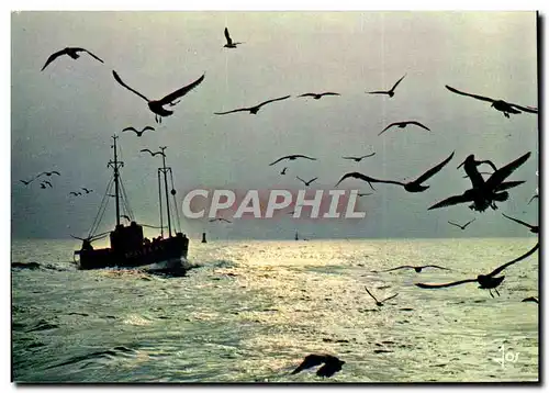 Cartes postales moderne Bateau de peche