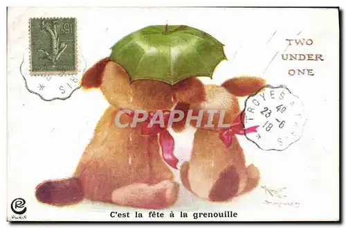 Cartes postales Fantaisie Chien C&#39est la fete a la grenouille