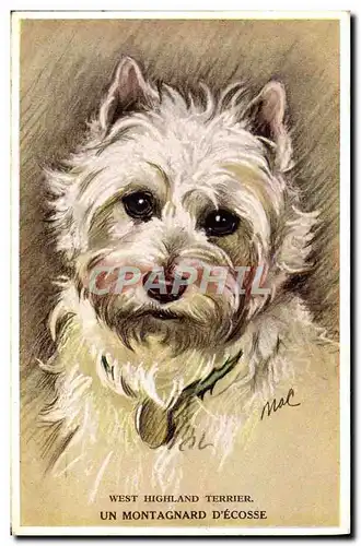 Ansichtskarte AK Fantaisie West Highland Terrier Un montagnard d&#39Ecosse Chien