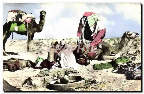 Cartes postales moderne Campement de nomades Chameau