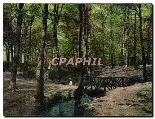 Cartes postales Essen