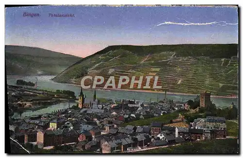 Cartes postales Bingen Totalansiche