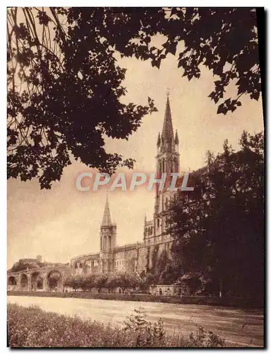 Cartes postales Lourdes La Basilique et la Grotte Vus du Gave