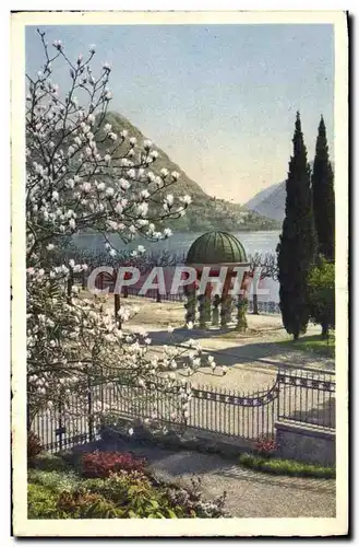 Cartes postales Lugano Magnolie in Fiore