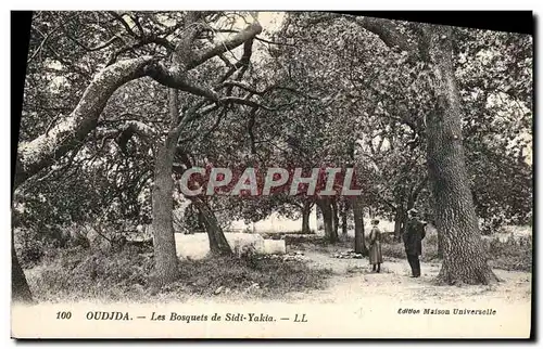 Cartes postales Oudjda Les Bosquets de Sidi Yakia