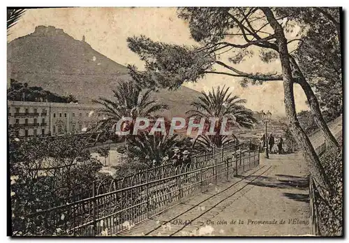 Cartes postales Oran Un coin de la promenade de l'etang