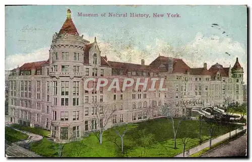 Cartes postales Museum of Natural History New York