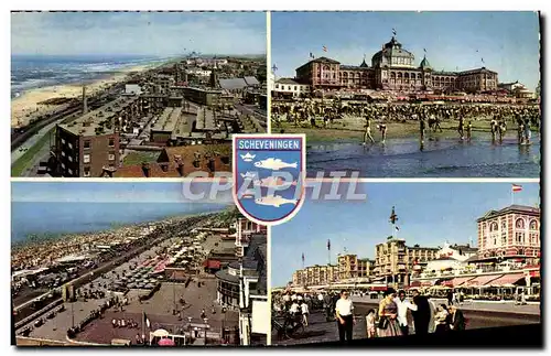 Cartes postales moderne Scheveningen Poissons