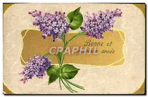 Cartes postales Fantaisie Nouvel An Fleurs