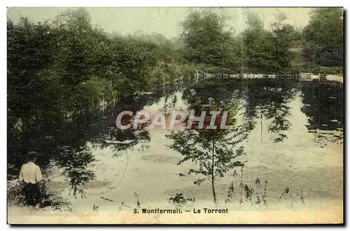 Cartes postales Montfermeil Le Torrent (carte toilee)