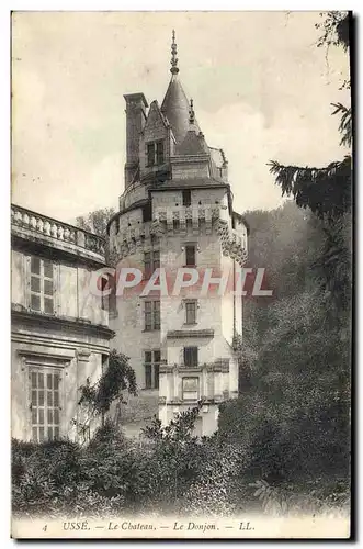 Cartes postales Usse Le Chateau Le Donjon