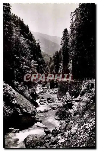 Cartes postales moderne Les Gorges De I&#39Arly