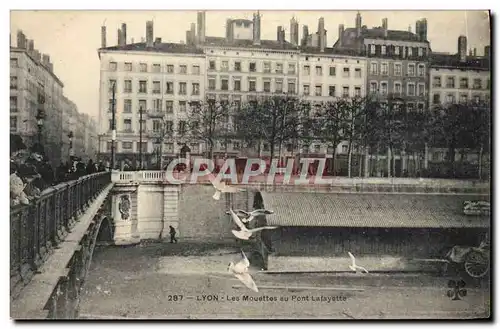 Ansichtskarte AK Lyon Les Mouettes au Pont Lafayette