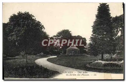 Ansichtskarte AK Avranches Une Allee du Jardin des Plantes