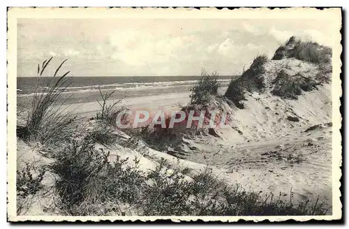 Cartes postales moderne Ostende La Dune
