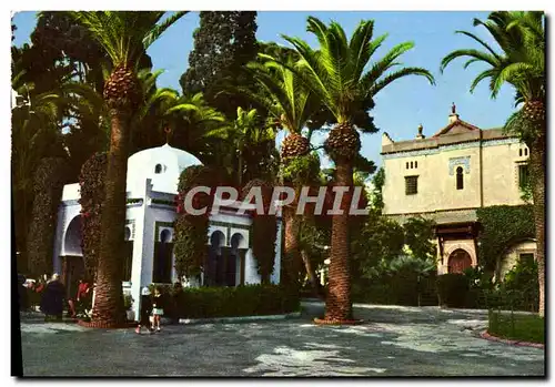 Cartes postales moderne Alger Parc De La Liberte