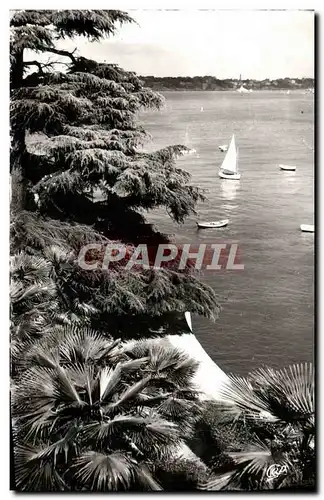 Cartes postales moderne Dinard Cote D&#39Emeraude La Promenade Du Clair De Lune