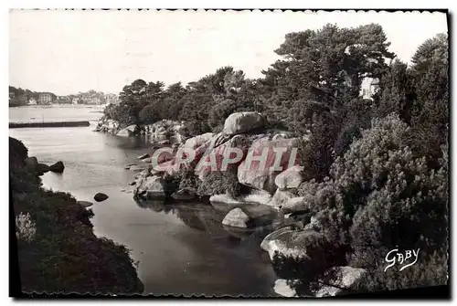 Cartes postales moderne Ploumanach Vallee De Traouieros