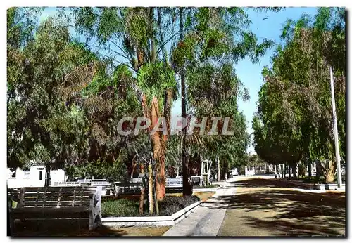 Cartes postales moderne Ecole nationale professionelle de l&#39air Cours des eleves Allee centrale