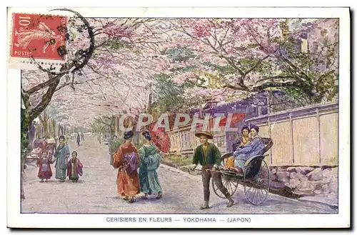 Ansichtskarte AK Japon Nippon Cerisiers en fleurs Yokohama