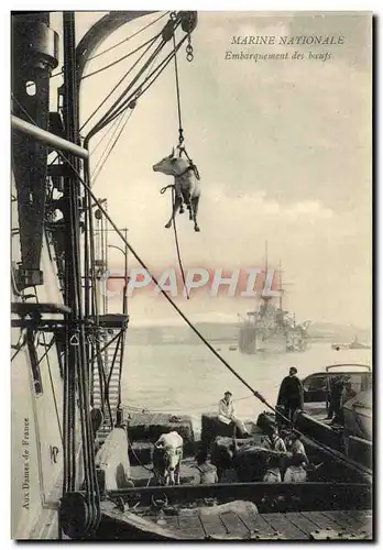 Cartes postales Bateau Guerre Embarquement des boeufs