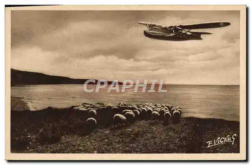 Cartes postales Avion Aviation Paysages landais Au grand lac de Biscarosse Hydravion Moutons
