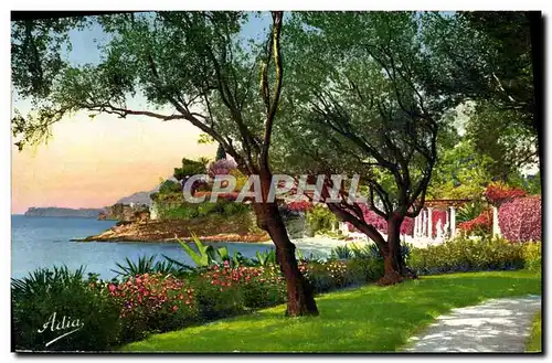 Cartes postales La Cote D&#39Azur Jardins au Bord de la Ner